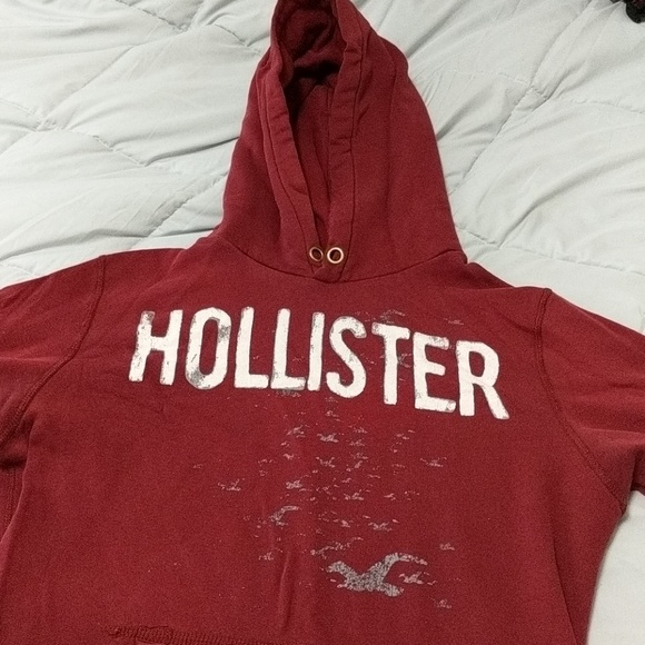 Hollister hoodie - Picture 1 of 4
